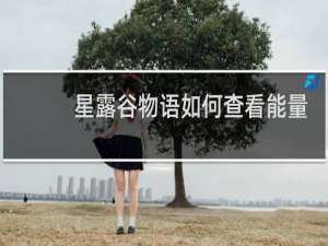 星露谷物语如何查看能量