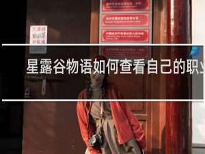 星露谷物语如何查看自己的职业