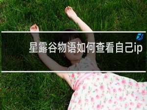 星露谷物语如何查看自己ip