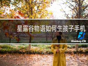 星露谷物语如何生孩子手机