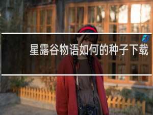 星露谷物语如何的种子下载