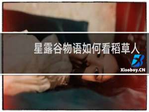 星露谷物语如何看稻草人