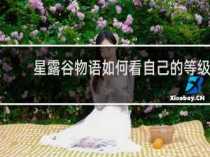 星露谷物语如何看自己的等级