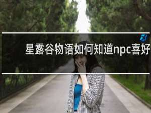 星露谷物语如何知道npc喜好