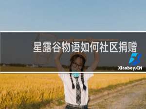 星露谷物语如何社区捐赠