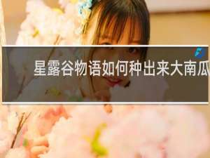 星露谷物语如何种出来大南瓜