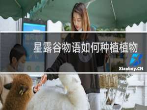 星露谷物语如何种植植物