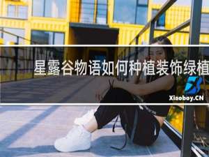 星露谷物语如何种植装饰绿植