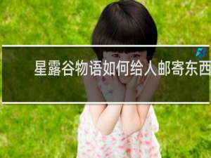 星露谷物语如何给人邮寄东西