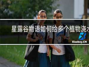 星露谷物语如何给多个植物浇水