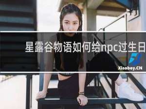 星露谷物语如何给npc过生日