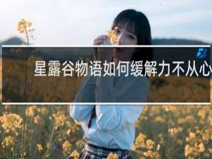 星露谷物语如何缓解力不从心