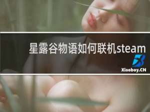 星露谷物语如何联机steam