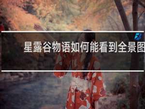 星露谷物语如何能看到全景图