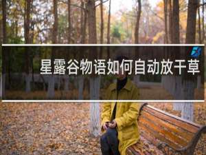 星露谷物语如何自动放干草