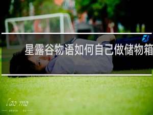 星露谷物语如何自己做储物箱