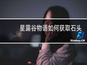 星露谷物语如何获取石头