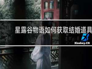 星露谷物语如何获取结婚道具