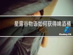 星露谷物语如何获得啤酒桶