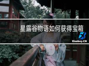 星露谷物语如何获得宝箱