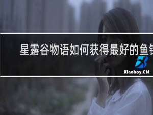 星露谷物语如何获得最好的鱼钩