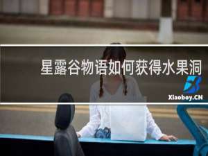 星露谷物语如何获得水果洞