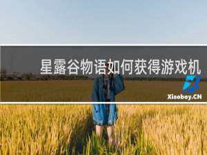 星露谷物语如何获得游戏机