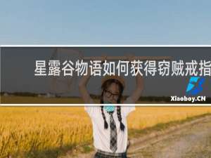 星露谷物语如何获得窃贼戒指