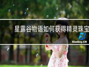 星露谷物语如何获得精灵珠宝