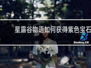 星露谷物语如何获得紫色宝石