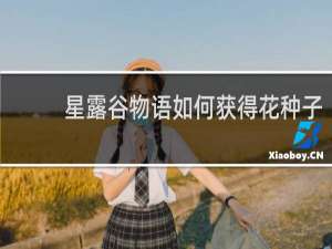 星露谷物语如何获得花种子