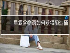 星露谷物语如何获得酿造桶