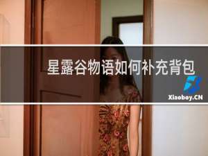星露谷物语如何补充背包