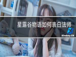 星露谷物语如何表白法师