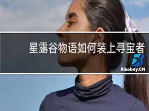 星露谷物语如何装上寻宝者