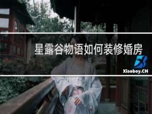 星露谷物语如何装修婚房
