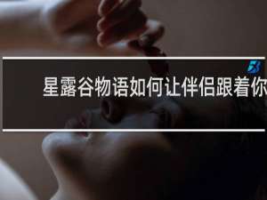 星露谷物语如何让伴侣跟着你