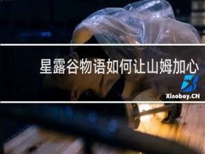 星露谷物语如何让山姆加心