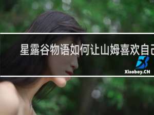 星露谷物语如何让山姆喜欢自己