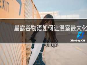 星露谷物语如何让温室最大化