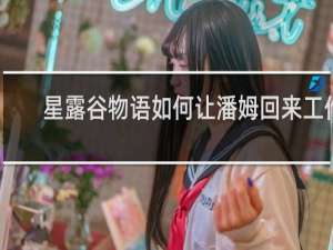 星露谷物语如何让潘姆回来工作