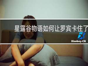 星露谷物语如何让罗宾卡住了