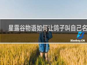 星露谷物语如何让鸽子叫自己名字