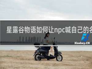 星露谷物语如何让npc喊自己的名字