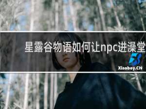 星露谷物语如何让npc进澡堂