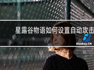 星露谷物语如何设置自动攻击