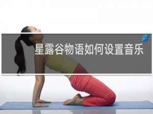 星露谷物语如何设置音乐