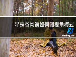 星露谷物语如何调视角模式