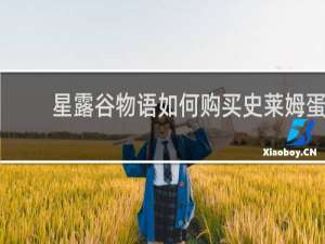 星露谷物语如何购买史莱姆蛋