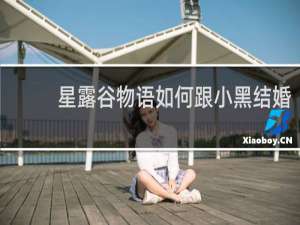 星露谷物语如何跟小黑结婚